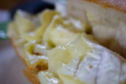 melted brie