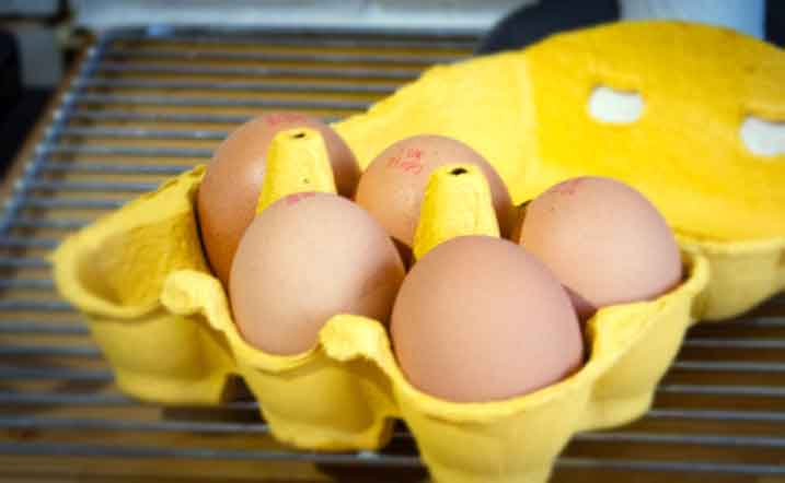 how-long-can-cooked-eggs-sit-out