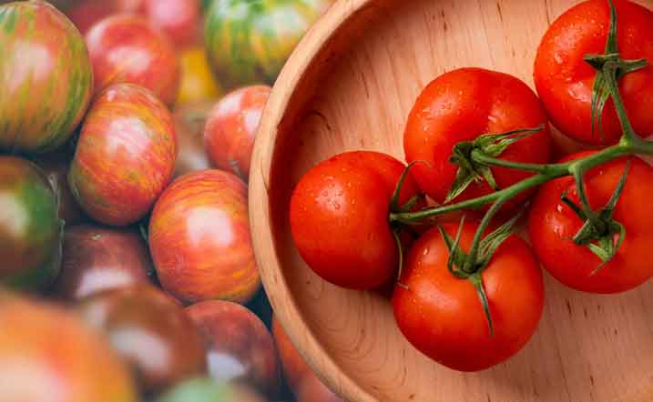Best-Tomatoes-For-Sandwiches