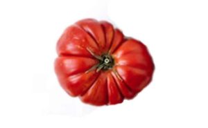 mortgage-lifter-tomato